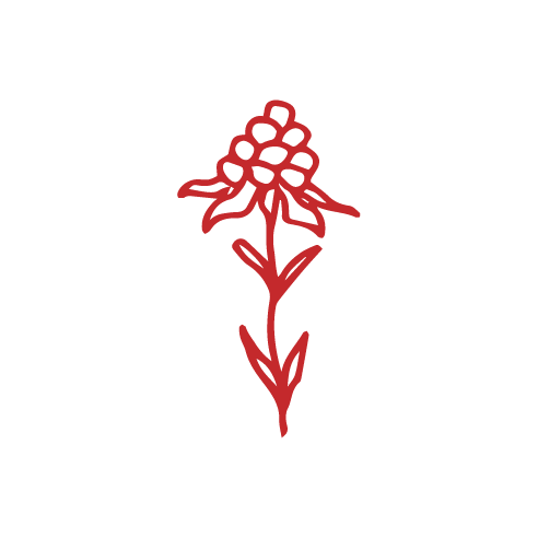 flower-icons-red-02