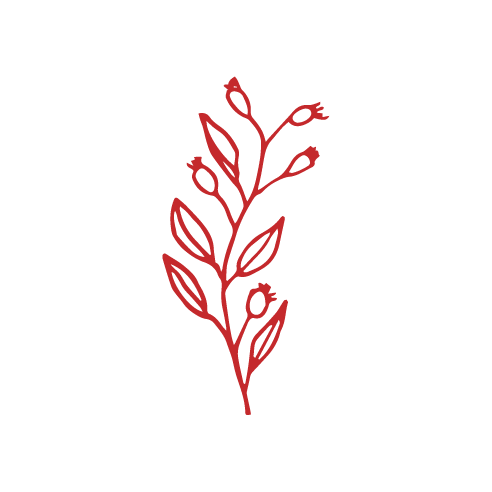 flower-icons-red-03