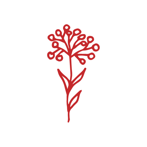 flower-icons-red-04