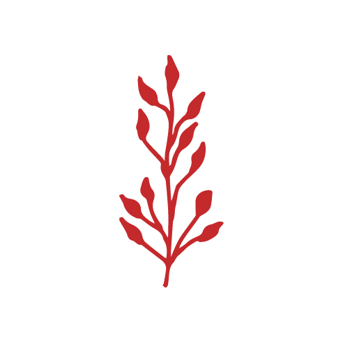 flower-icons-red-07-01