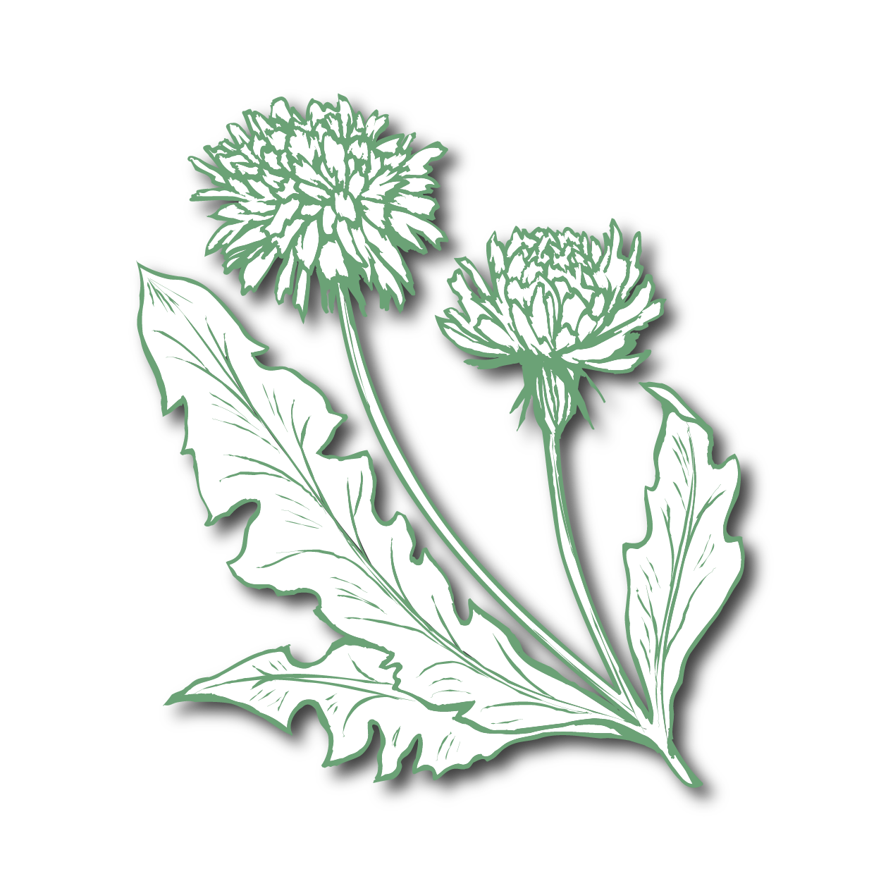 Mar-Icons-01
