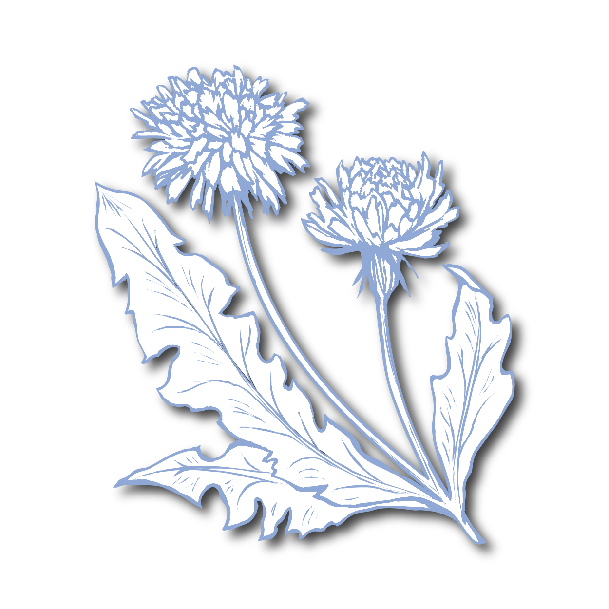 Mar-Icons-04