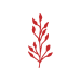 flower-icons-red-07-01